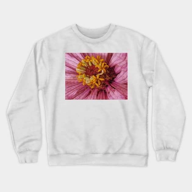 close-up of a single zinnia flower bloom in pink floral fantasy Crewneck Sweatshirt by mister-john